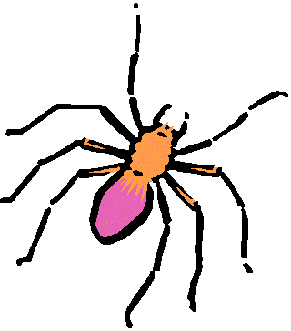 spider5.gif (4327 bytes)